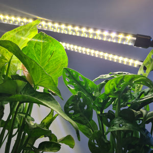 2 Headed LED Indoor Plant Grow Lights - White - Cheeky Plant Co.