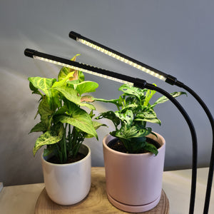 2 Headed LED Indoor Plant Grow Lights - White - Cheeky Plant Co.
