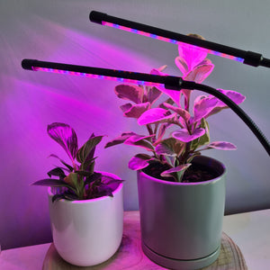 2 Headed LED Indoor Plant Grow Lights - Red/Blue - Cheeky Plant Co.