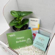 Load image into Gallery viewer, Birthday Plant Gift Box

