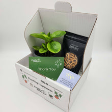 Load image into Gallery viewer, Thank You / Congrats Plant Gift Box
