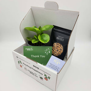 Thank You / Congrats Plant Gift Box
