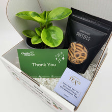 Load image into Gallery viewer, Thank You / Congrats Plant Gift Box
