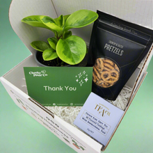 Load image into Gallery viewer, Thank You / Congrats Plant Gift Box
