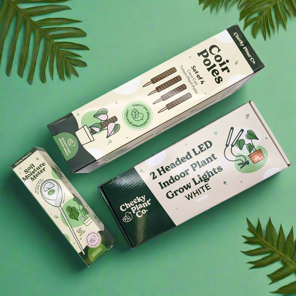 Support Plant Care Pack