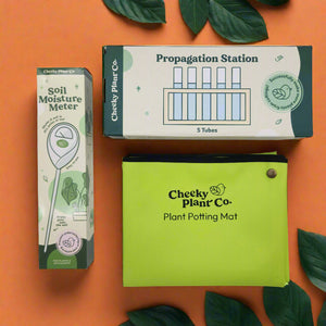 Stay Rooted Plant Care Pack