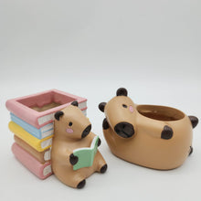 Load image into Gallery viewer, Capybara Four Pots Pack
