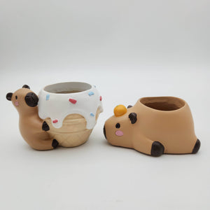 Capybara Four Pots Pack