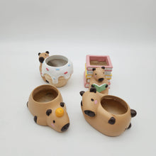 Load image into Gallery viewer, Capybara Four Pots Pack
