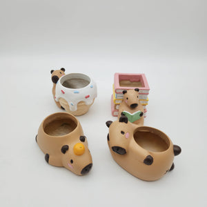 Capybara Four Pots Pack
