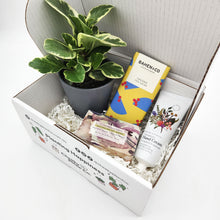 Load image into Gallery viewer, Pamper Plant Gift Box
