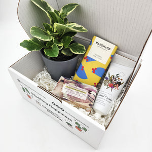 Pamper Plant Gift Box