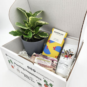 Pamper Plant Gift Box