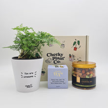 Load image into Gallery viewer, Positive Vibes - Plant Gift Box
