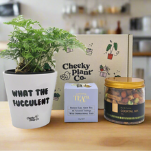 Load image into Gallery viewer, Cheeky Vibes - Plant Gift Box
