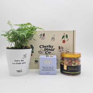 Positive Vibes - Plant Gift Box