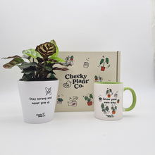 Load image into Gallery viewer, Positive Motivation - Plant Gift Box

