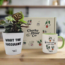 Load image into Gallery viewer, Cheeky Motivation - Plant Gift Box
