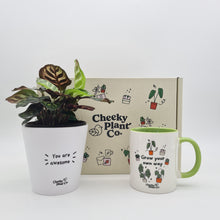 Load image into Gallery viewer, Positive Motivation - Plant Gift Box
