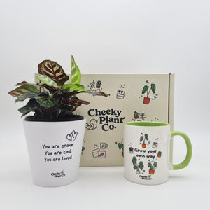Positive Motivation - Plant Gift Box