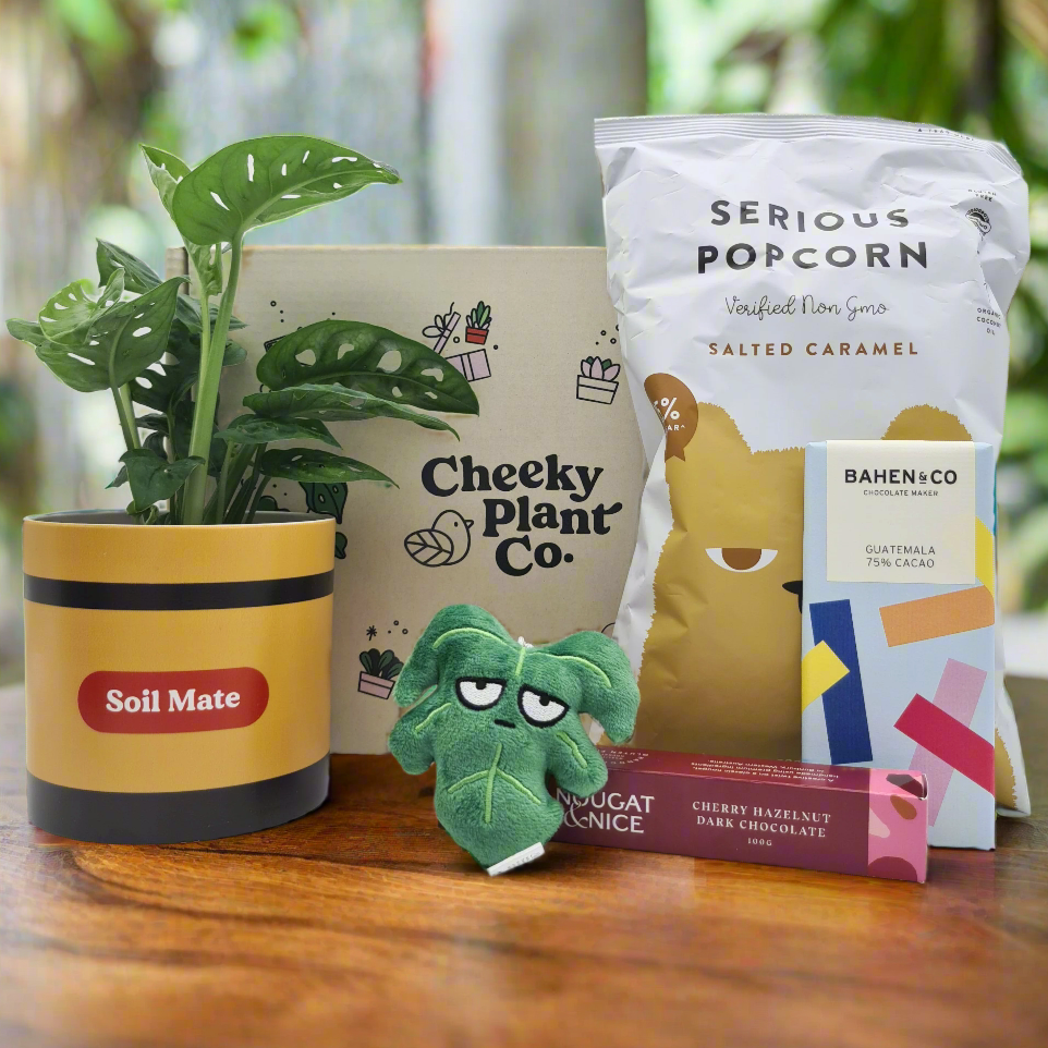Soil Mate Plant Gift Box