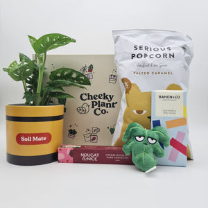Soil Mate Plant Gift Box