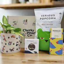 Load image into Gallery viewer, Cat Lovers Plant Gift Box
