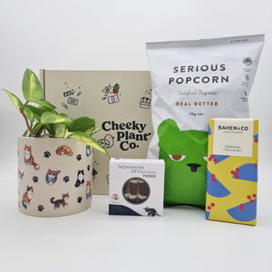 Cat Lovers Plant Gift Box