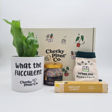 Load image into Gallery viewer, What the Fucculent - Plant Gift Box
