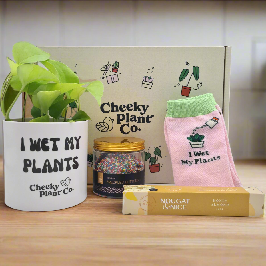 I Wet My Plants - Plant Gift Box