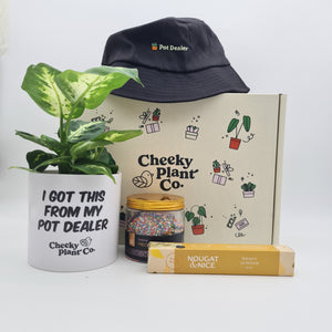 I Got This From My Pot Dealer - Plant Gift Box