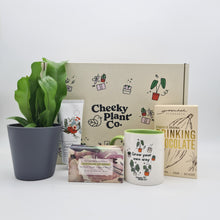 Load image into Gallery viewer, Pamper Wellness Plant Gift Box
