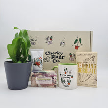 Load image into Gallery viewer, Pamper Wellness Plant Gift Box
