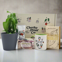 Load image into Gallery viewer, Pamper Wellness Plant Gift Box
