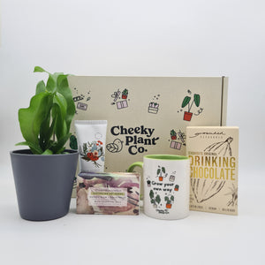 Pamper Wellness Plant Gift Box