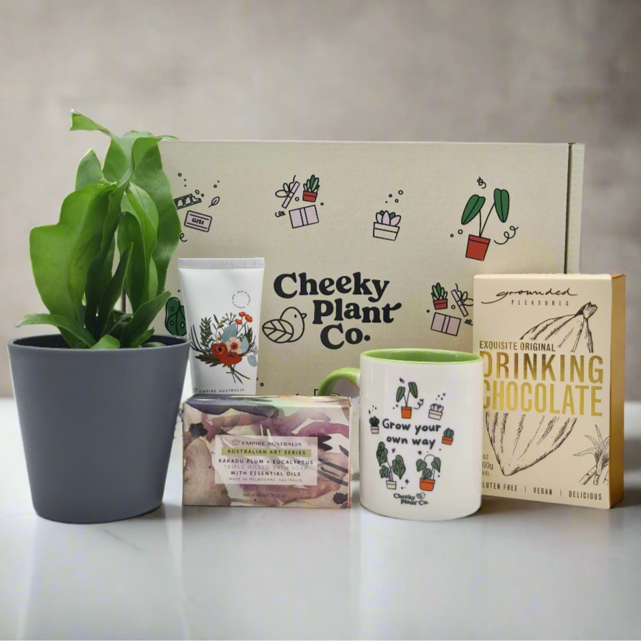 Pamper Wellness Plant Gift Box