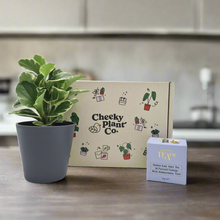 Load image into Gallery viewer, Tea &amp; Plant Gift Box
