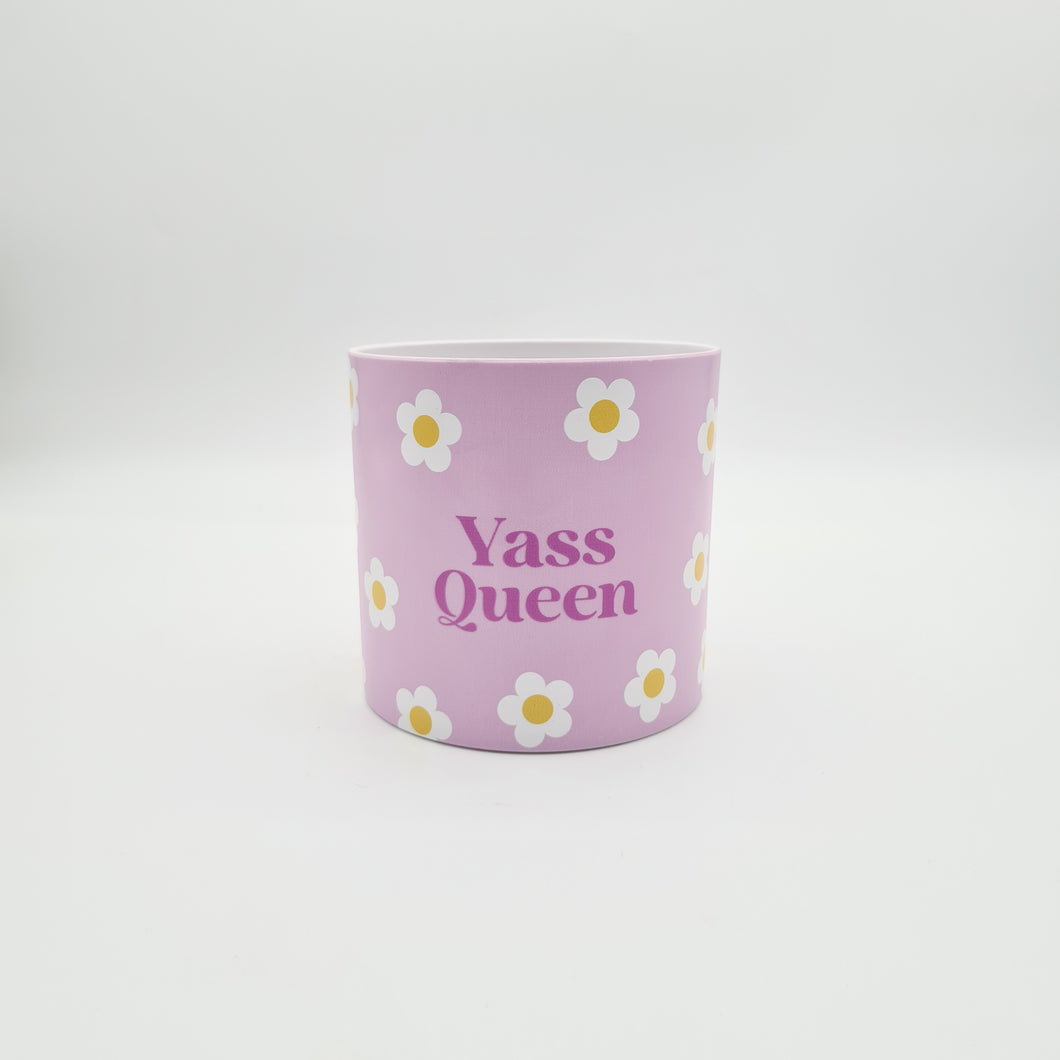 Yass Queen - Cheeky Plant Co. Pot - 12.5cmD x 12cmH