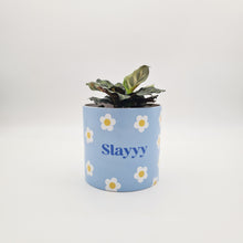 Load image into Gallery viewer, Slayyy - Cheeky Plant Co. Pot - 12.5cmD x 12cmH
