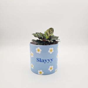 Slayyy - Cheeky Plant Co. Pot - 12.5cmD x 12cmH