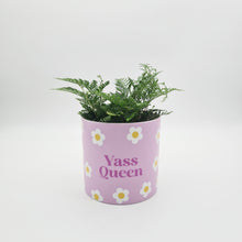 Load image into Gallery viewer, Yass Queen - Cheeky Plant Co. Pot - 12.5cmD x 12cmH
