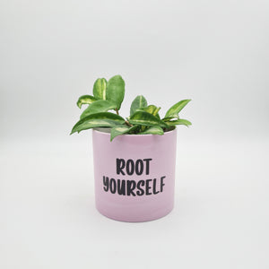Root Yourself - Cheeky Plant Co. Pot - 12.5cmD x 12cmH