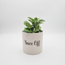 Load image into Gallery viewer, Succ Off - Cheeky Plant Co. Pot - 12.5cmD x 12cmH
