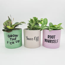 Load image into Gallery viewer, Trio Succ It Up Pots Pack - Cheeky Plant Co. Pots - 12.5cmD x 12cmH
