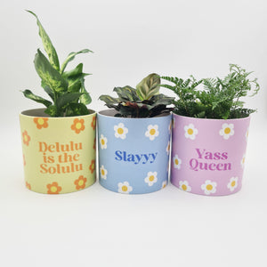 Trio Slay Queen Pots Pack - Cheeky Plant Co. Pots - 12.5cmD x 12cmH