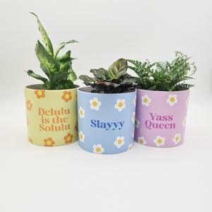 Trio Slay Queen Pots Pack - Cheeky Plant Co. Pots - 12.5cmD x 12cmH