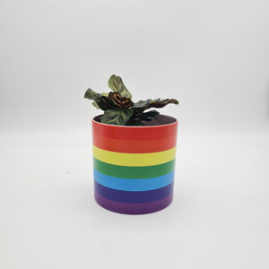 Rainbow - Cheeky Plant Co. Pot - 12.5cmD x 12cmH