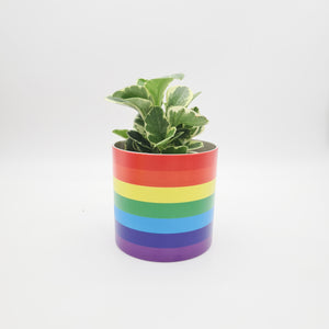 Rainbow - Cheeky Plant Co. Pot - 12.5cmD x 12cmH