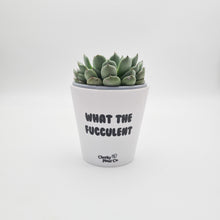 Load image into Gallery viewer, What a Serial Plant Slayer - Pot Bundle
