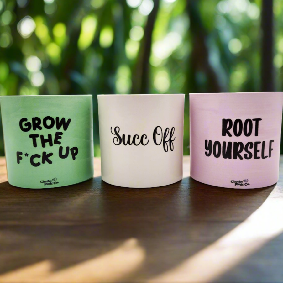 Trio Succ It Up Pots Pack - Cheeky Plant Co. Pots - 12.5cmD x 12cmH